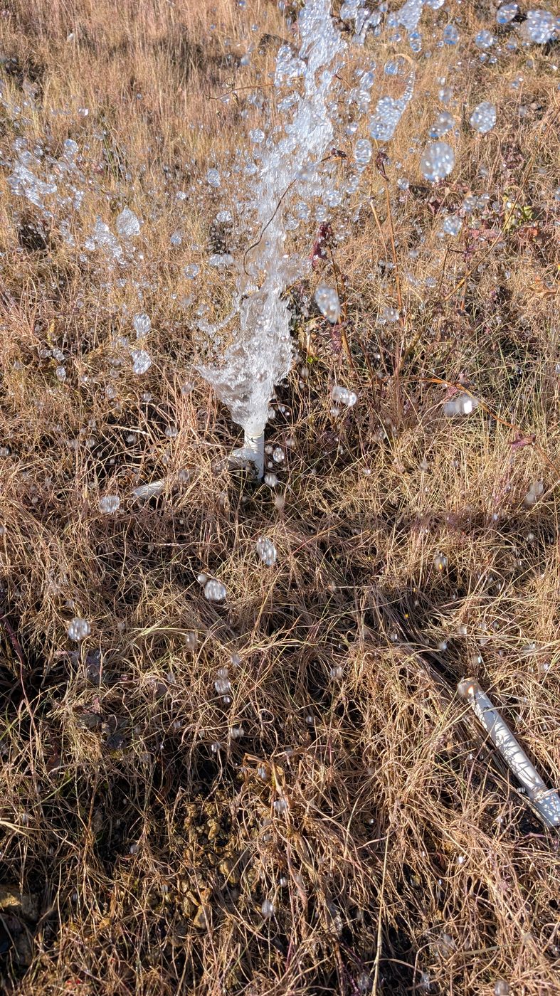 A broken sprinkler spraying water uncontrolled into dry grass